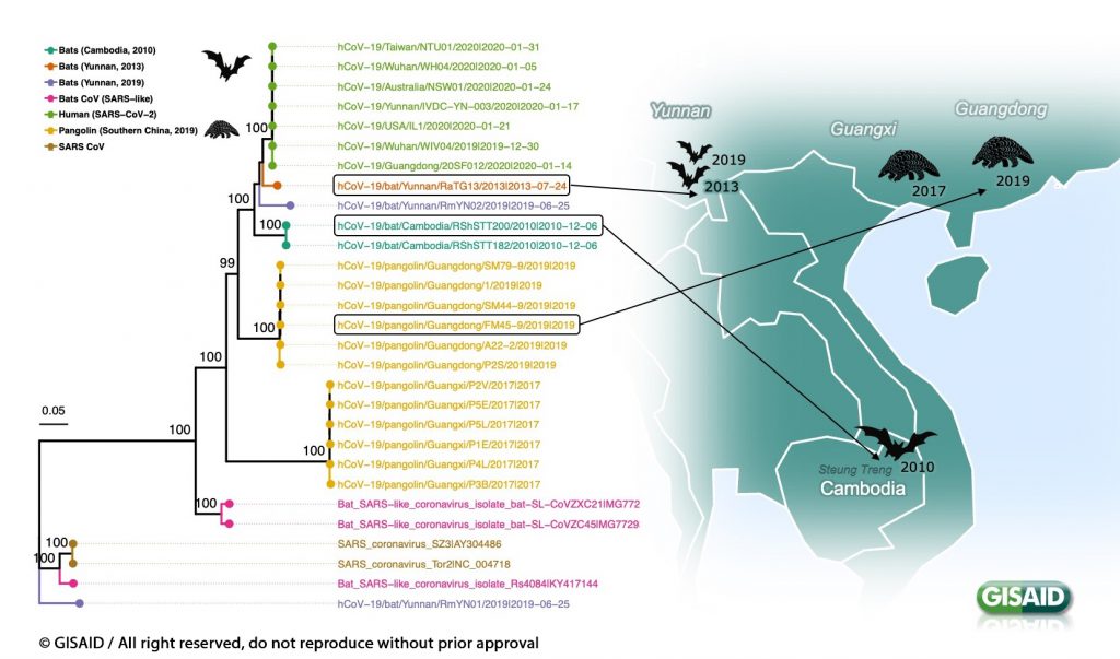 Institut Pasteur du Cambodge identifies a betacoronavirus closely related to SARS-CoV-2 in bat samples from 2010