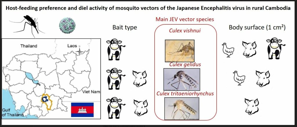 Japanese Encephalistis Research