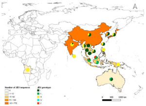 Ecology of the Japanese Encephalitis Virus