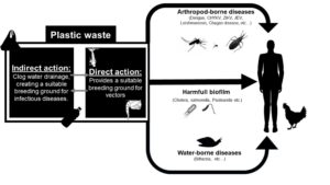 Study by the Medical and Veterinary Entomology unit demonstrate the role of macro plastic waste on vector- and water-borne diseases