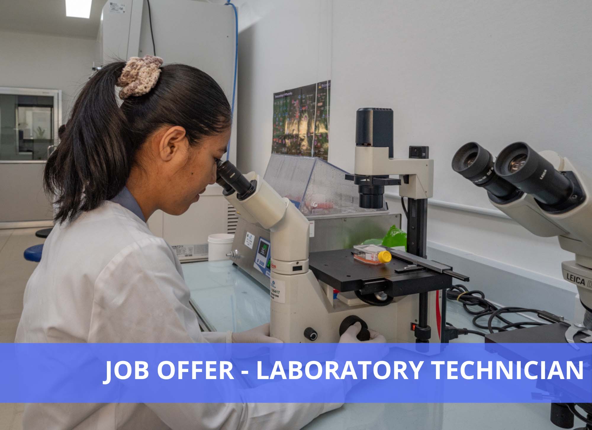 Laboratory Technician for the Immunology Unit