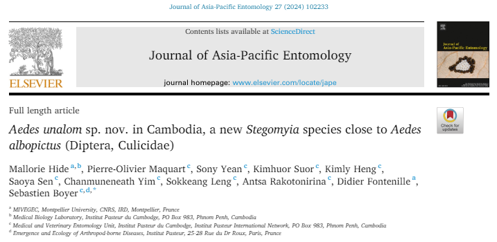 New Mosquito Species Discovered in Cambodia