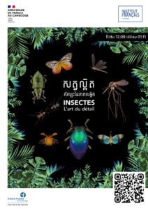 Insects: The Art of Detail, An exhibition in partnership with the Institut Pasteur du Cambodge and the French Embassy