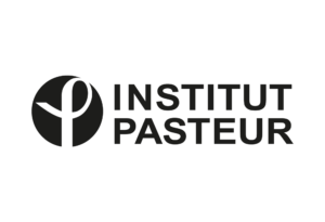 IPP