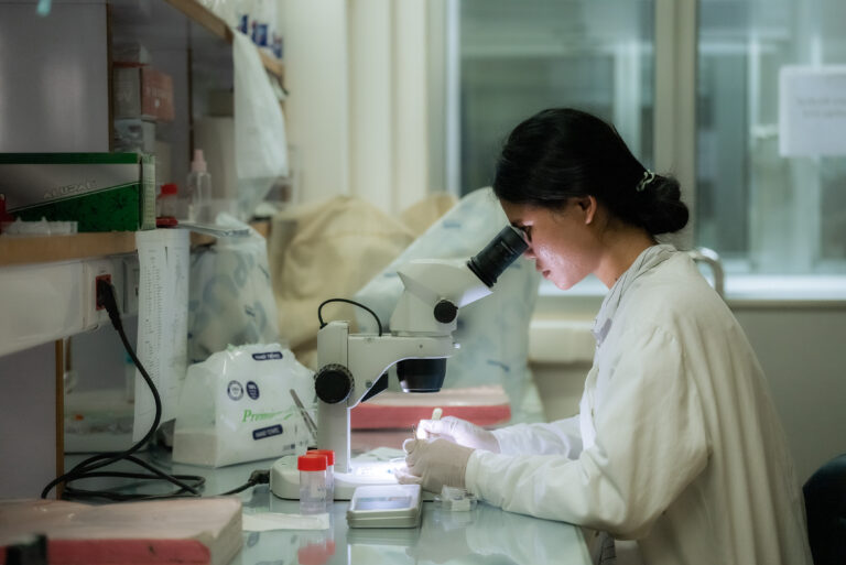 The view of Insectarium_Vectors in Laboratory of Institut Pasteur du Cambodge