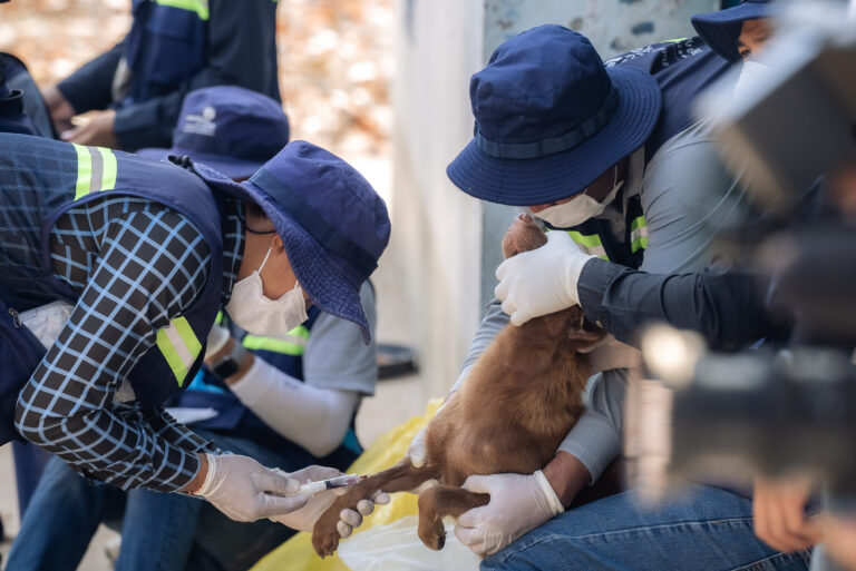 The view of IPC technician collecting Dog component's sample.