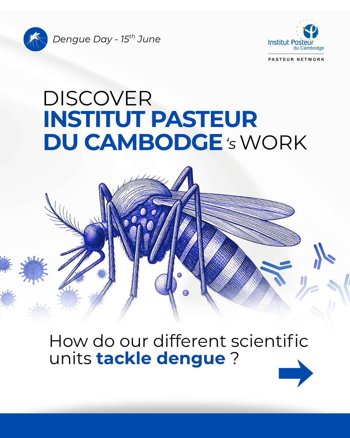 A Multidisciplinary Approach to Dengue Research and Surveillance at IPC