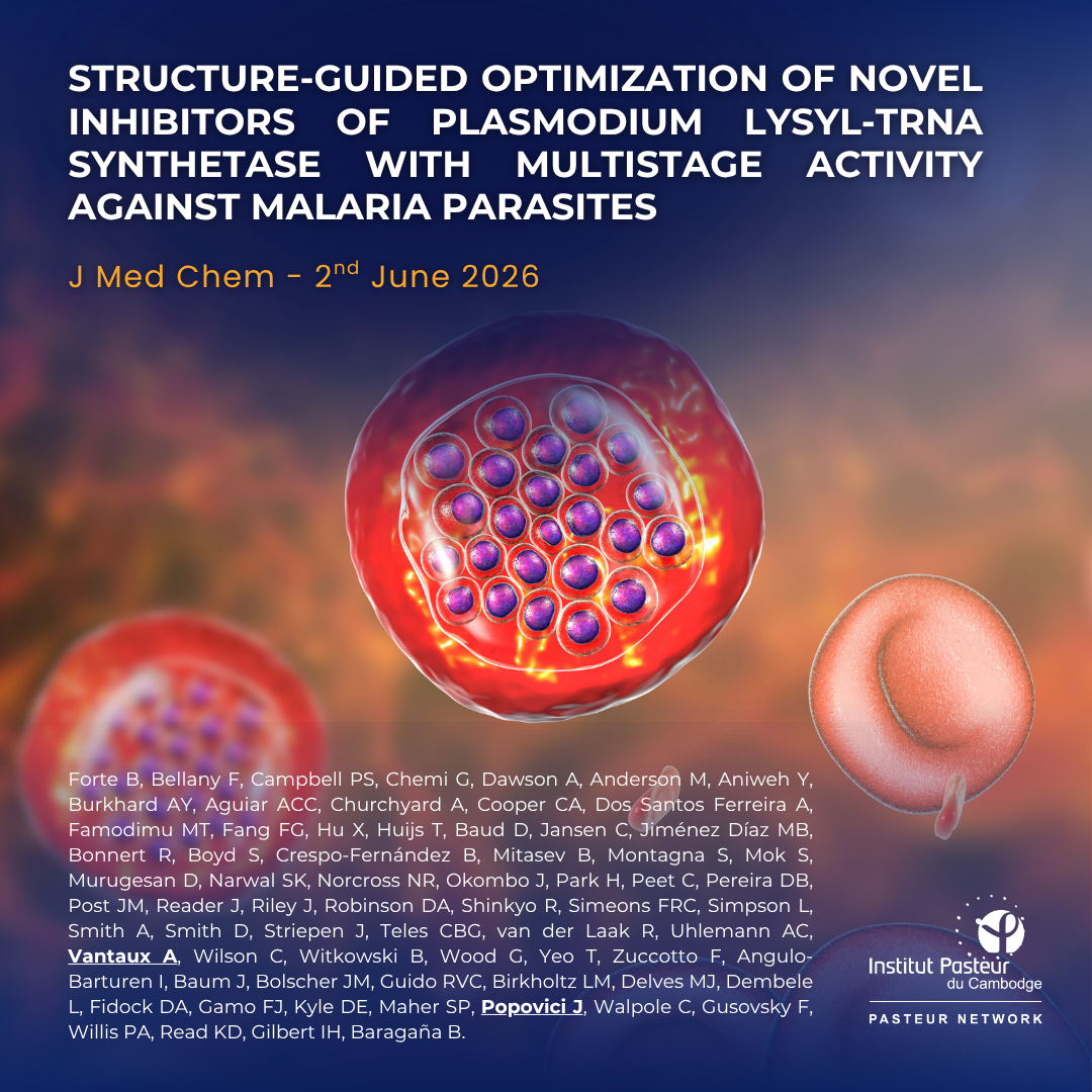 Structure-Guided Optimization of Novel Inhibitors of Plasmodium Lysyl-tRNA Synthetase with Multistage Activity against Malaria Parasites